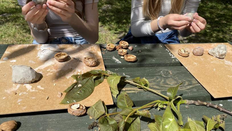 Kunstforløb og skoletjeneste med valnødder fra Søbygaards valnøddetræ