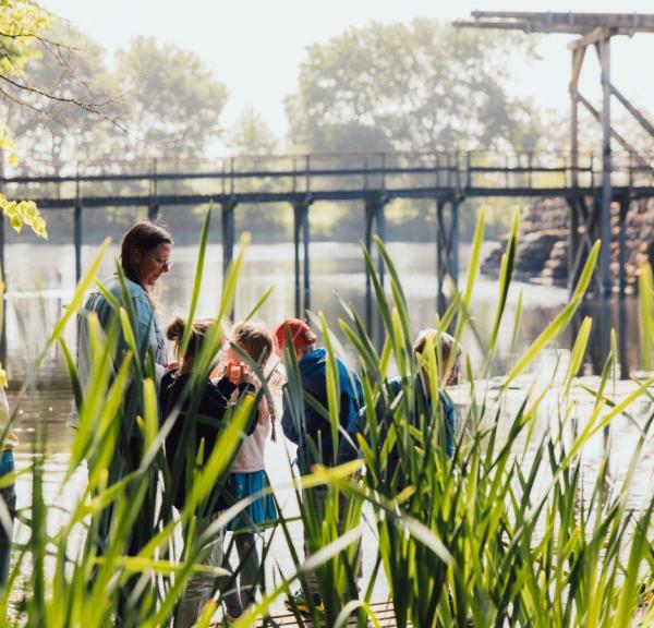 Roa formidler til skoleklasse ved vandkanten