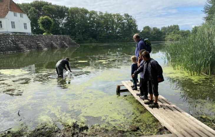 Aktiviteter sø Søbygaard børn og voksne